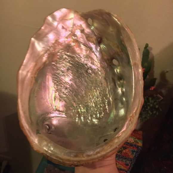 Anthropologie Other - Extra large abalone shell